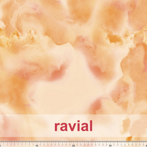 D-NIDIA ESTP *BRILLO*